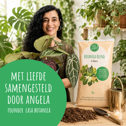 Botanica Blend – Aroid-Mischung