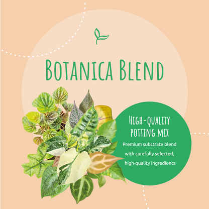 Botanica Blend – wysokiej jakości podłoże ogrodnicze