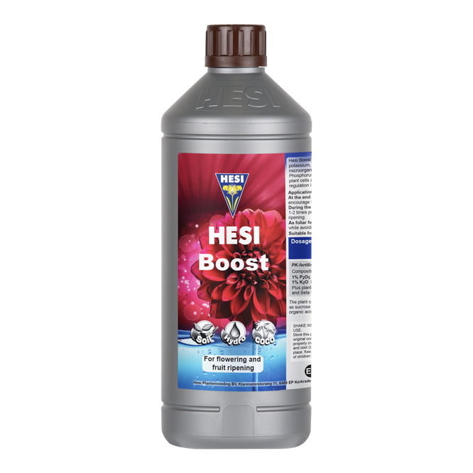 Hesi Boost