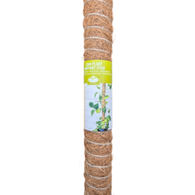 Coconut Plant Support S