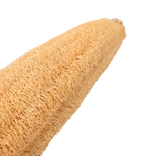 Loofah Scrub Sponge