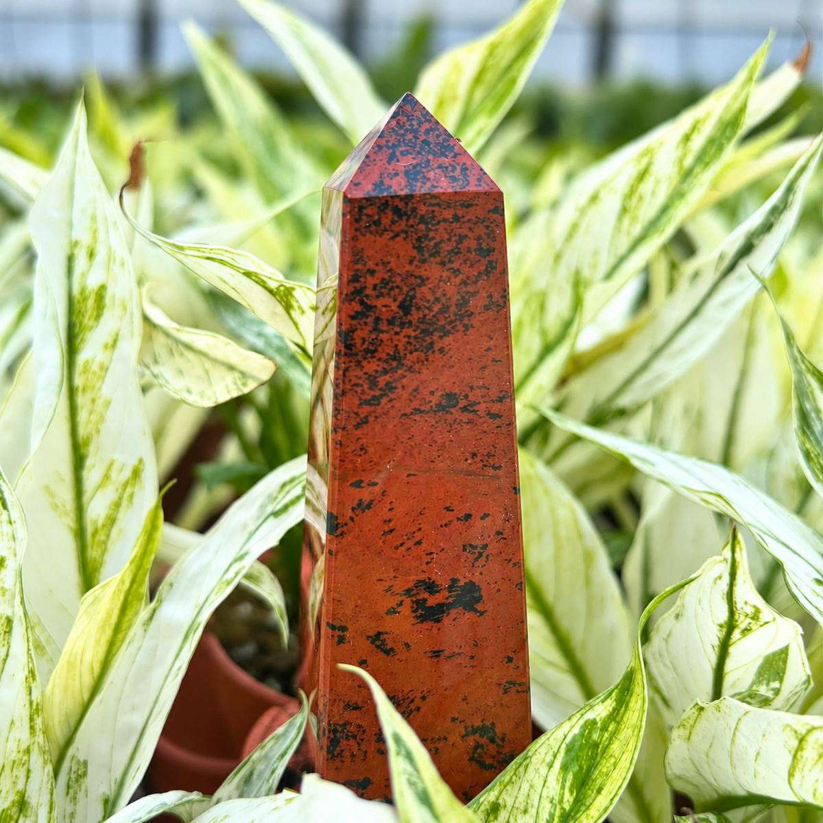 Mahonie Obsidiaan Toren - 13