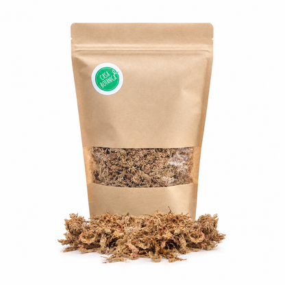 Sphagnum Mos - 100% natuurlijk