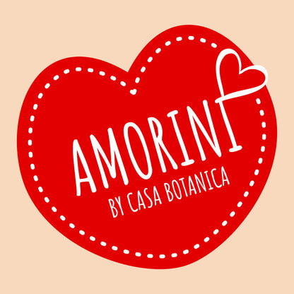 Geschenkbox – AMORINI – XS Mini-Pflanzen-Geschenkbox – 3,5 cm