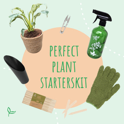 Cadeaubox - Hello Botanica