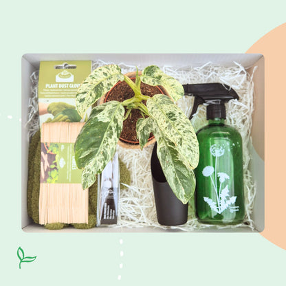 Cadeaubox - Hello Botanica