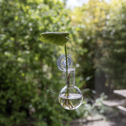 Kleine Vase mit Saugnapf S