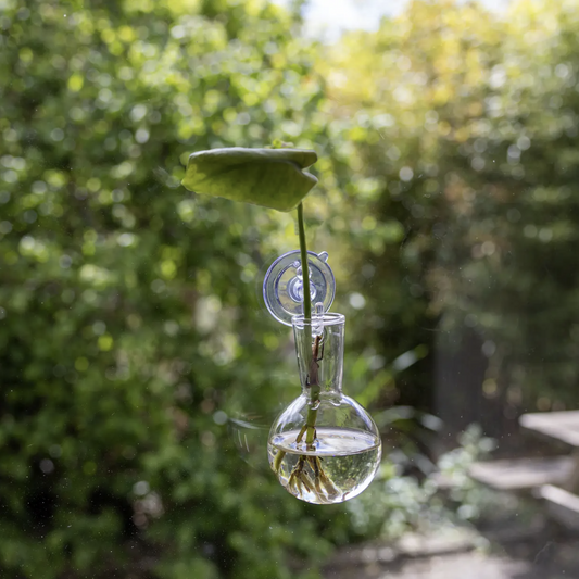 Stekvaasje met zuignap S